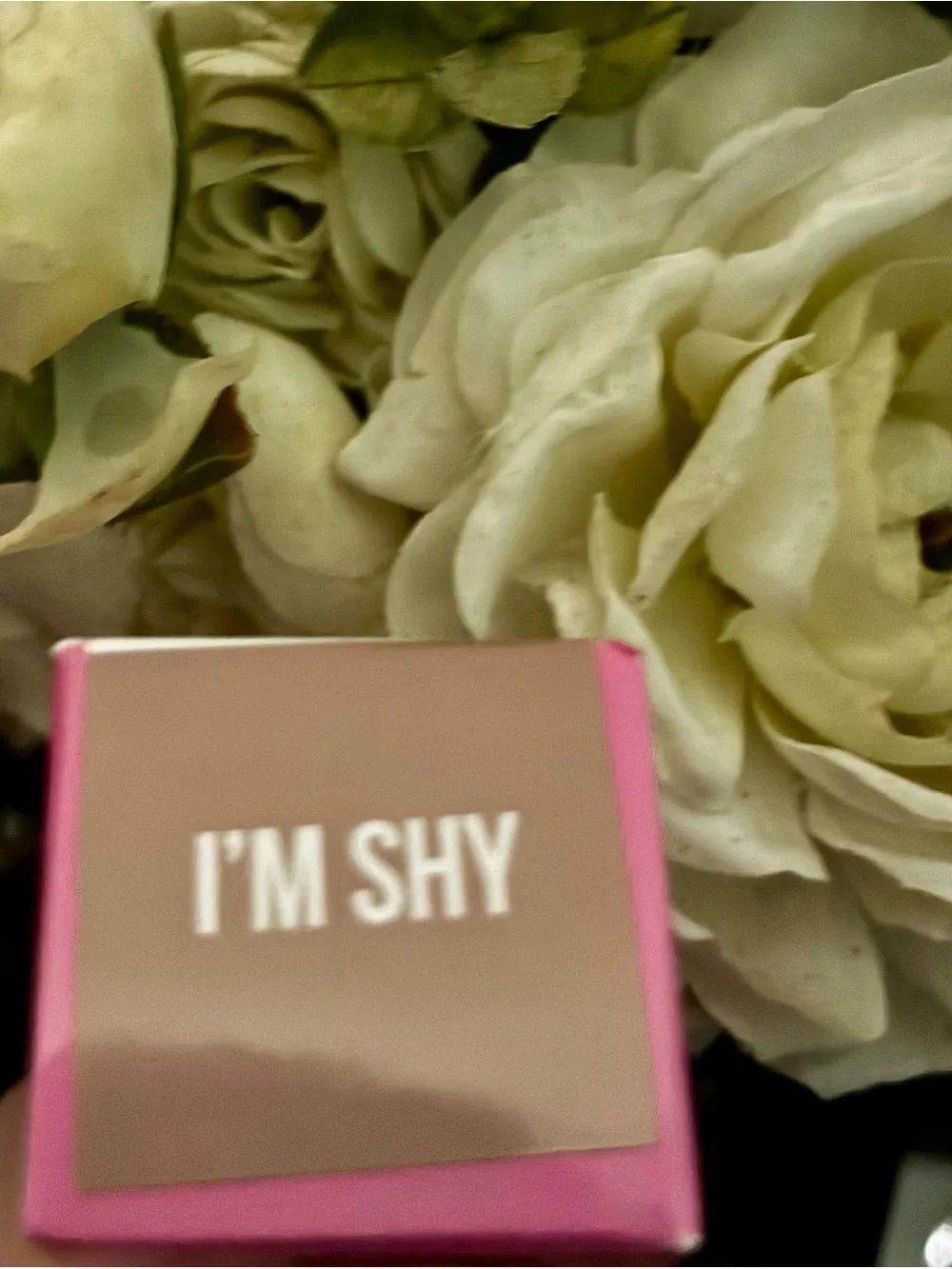 Jeffree Star The Gloss in the shade ‘I’m Shy’